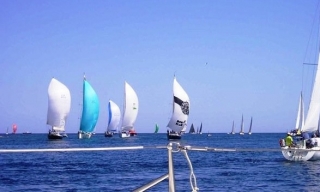 veleros en el mar